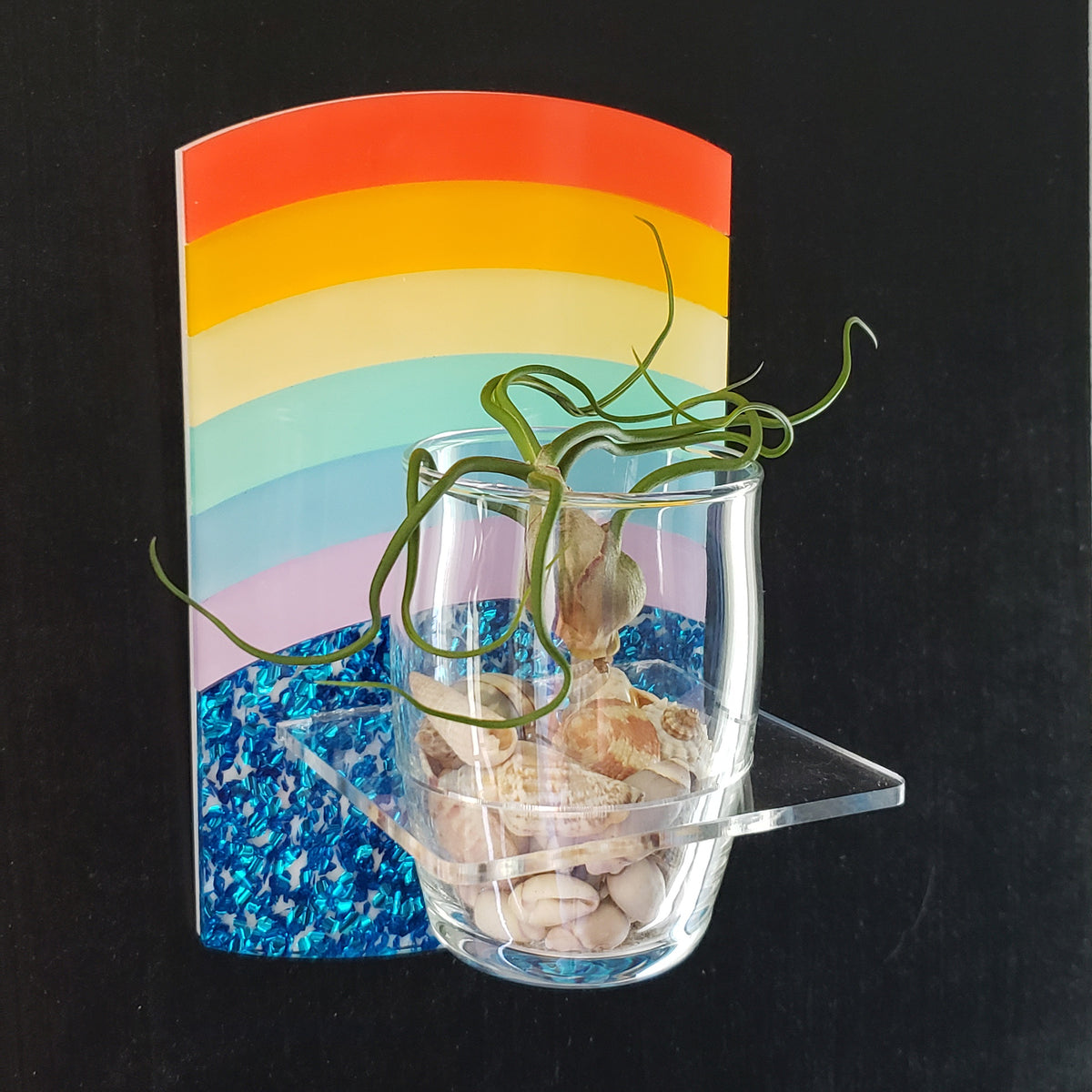 Rainbow Plant Sconce